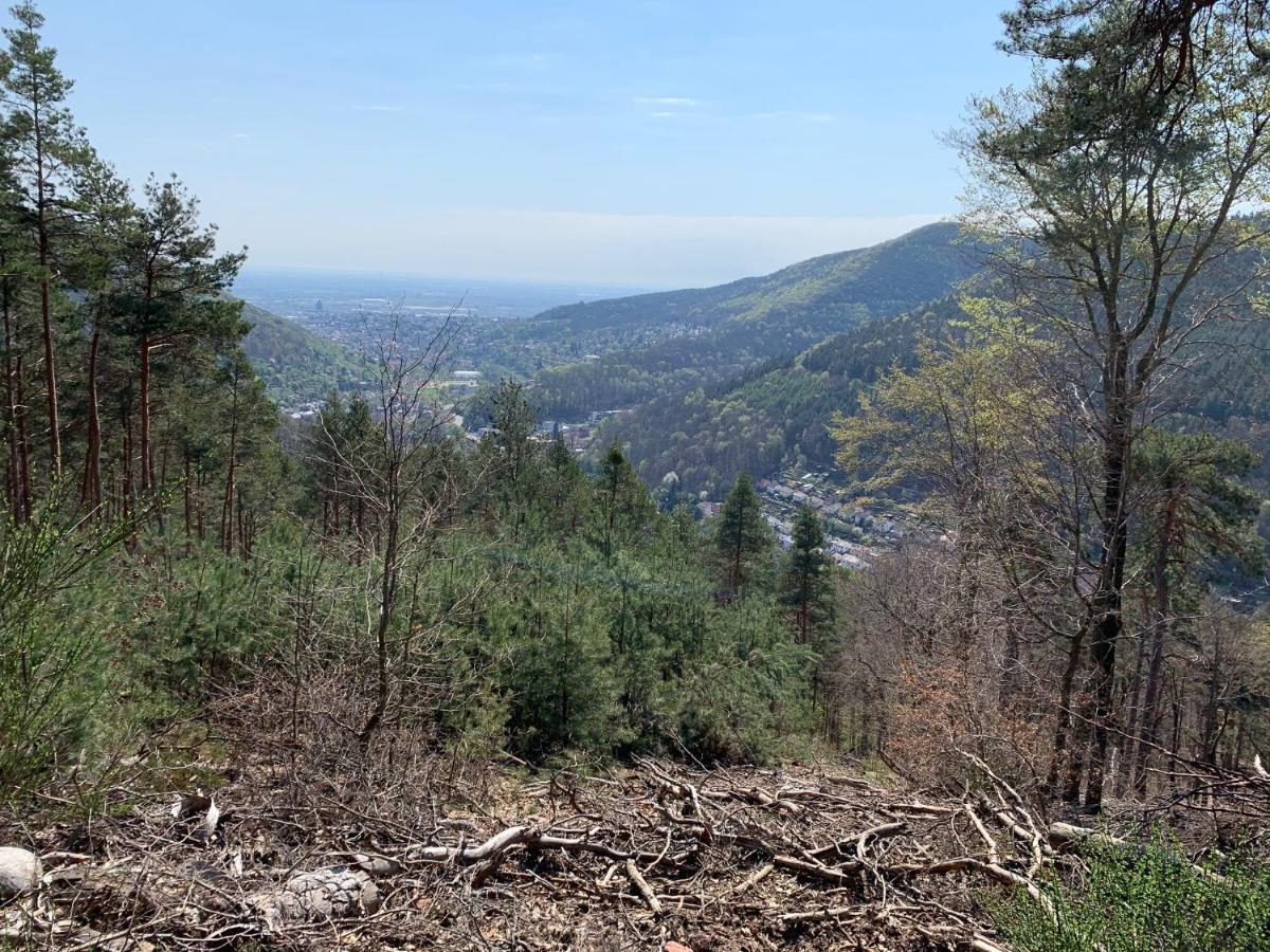 Dicker Stein Apartman Lambrecht  Kültér fotó